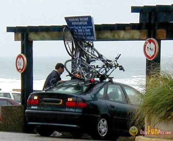 car_crossing.jpg