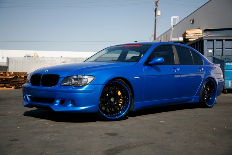 blue3.jpg