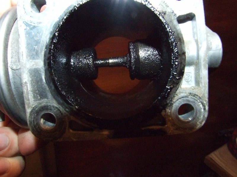 DSCF6659.JPG