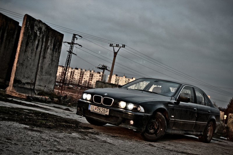 Kermit2.jpg (787.72 KiB) 2580 zobrazení Kermit2.jpg