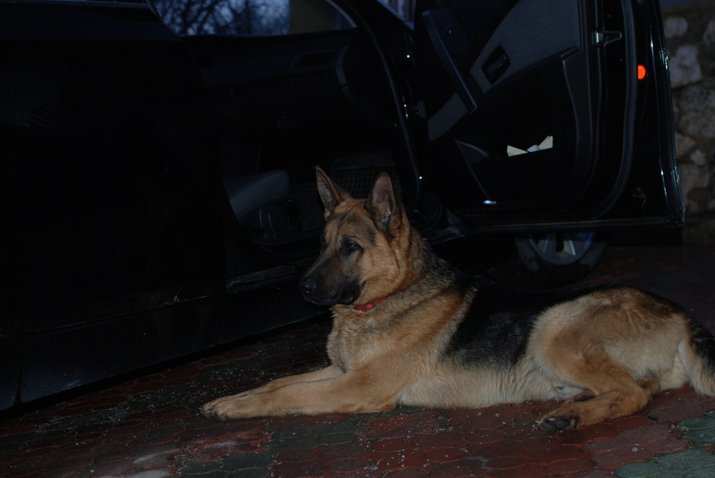 DSC_0160.jpg