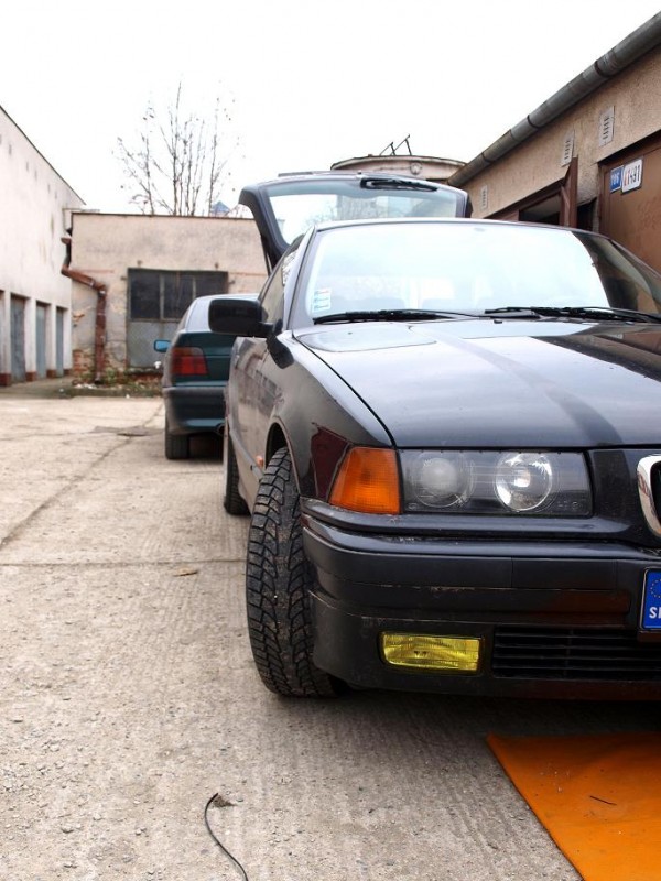 P2198676ps.JPG