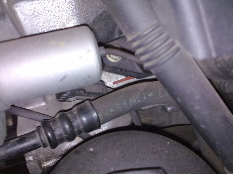 05032011045.jpg