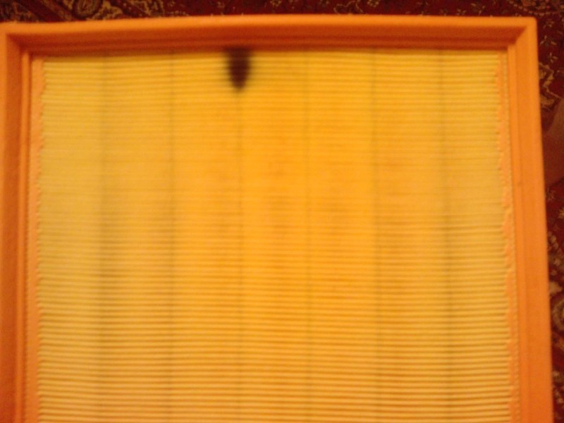 110307_175926.jpg