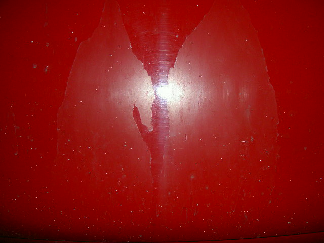 PICT3735.JPG