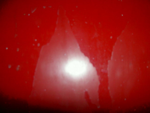 PICT3740.JPG