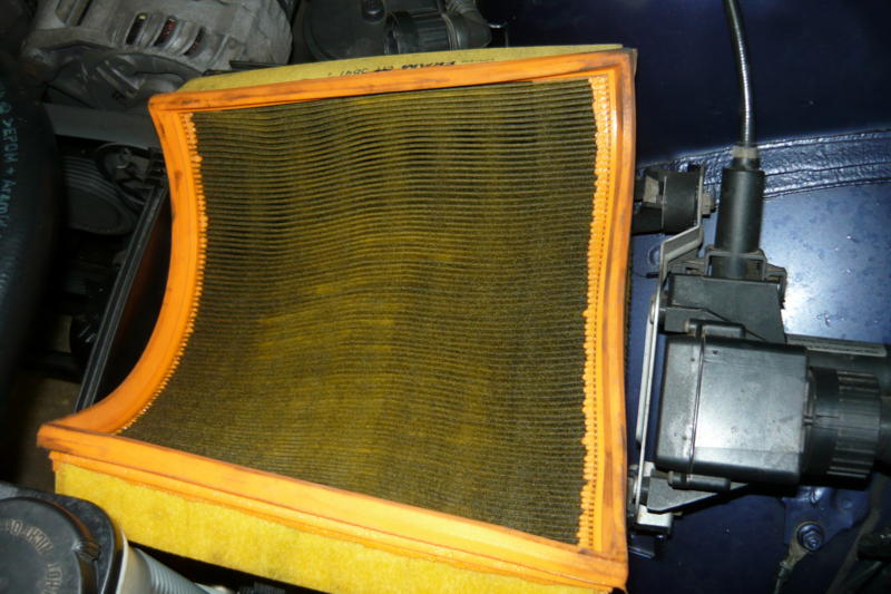 P1.JPG