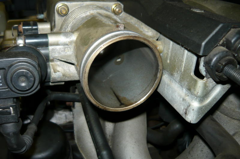 P2.JPG