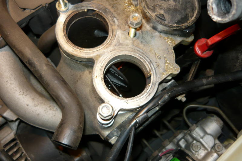 P3.JPG