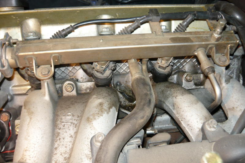 P4.JPG