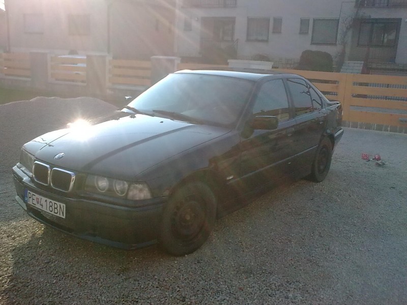 25022011_006.jpg
