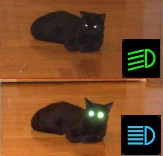 66904_149892008385691_105801729461386_232337_772393_n.jpg