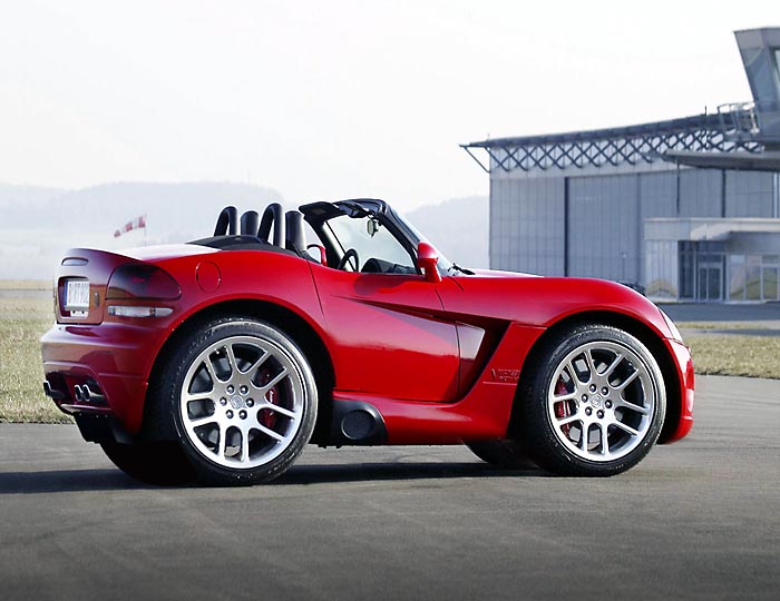 mini-viper_mini_me_2.jpg