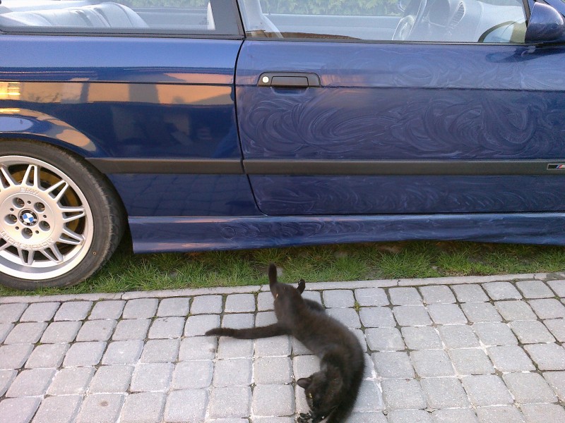 29032011321.jpg