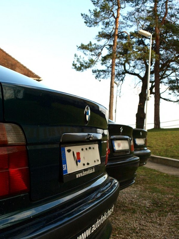 P4028964.jpg